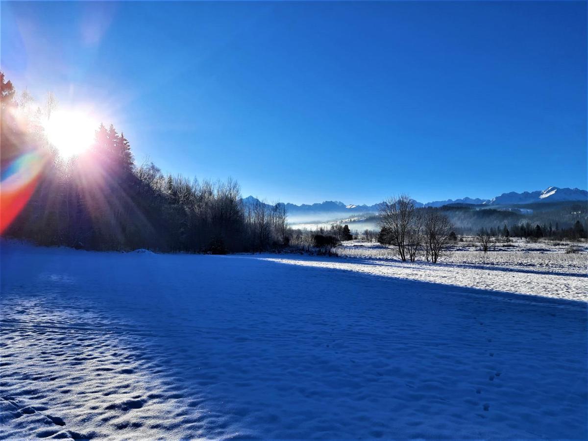 Pokoje U Teresy Czarna Góra Exteriör bild