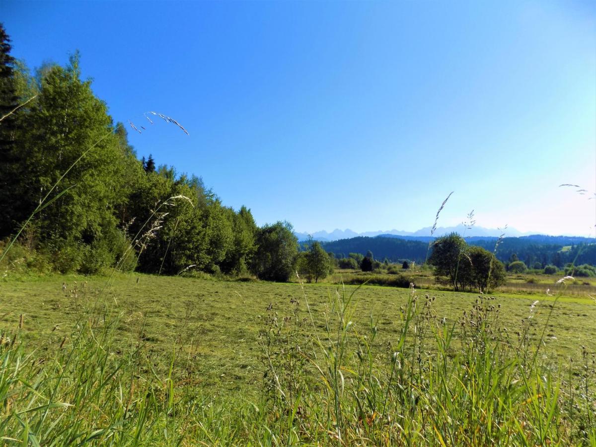 Pokoje U Teresy Czarna Góra Exteriör bild