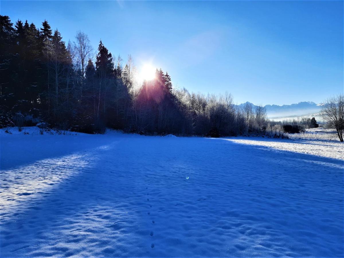 Pokoje U Teresy Czarna Góra Exteriör bild